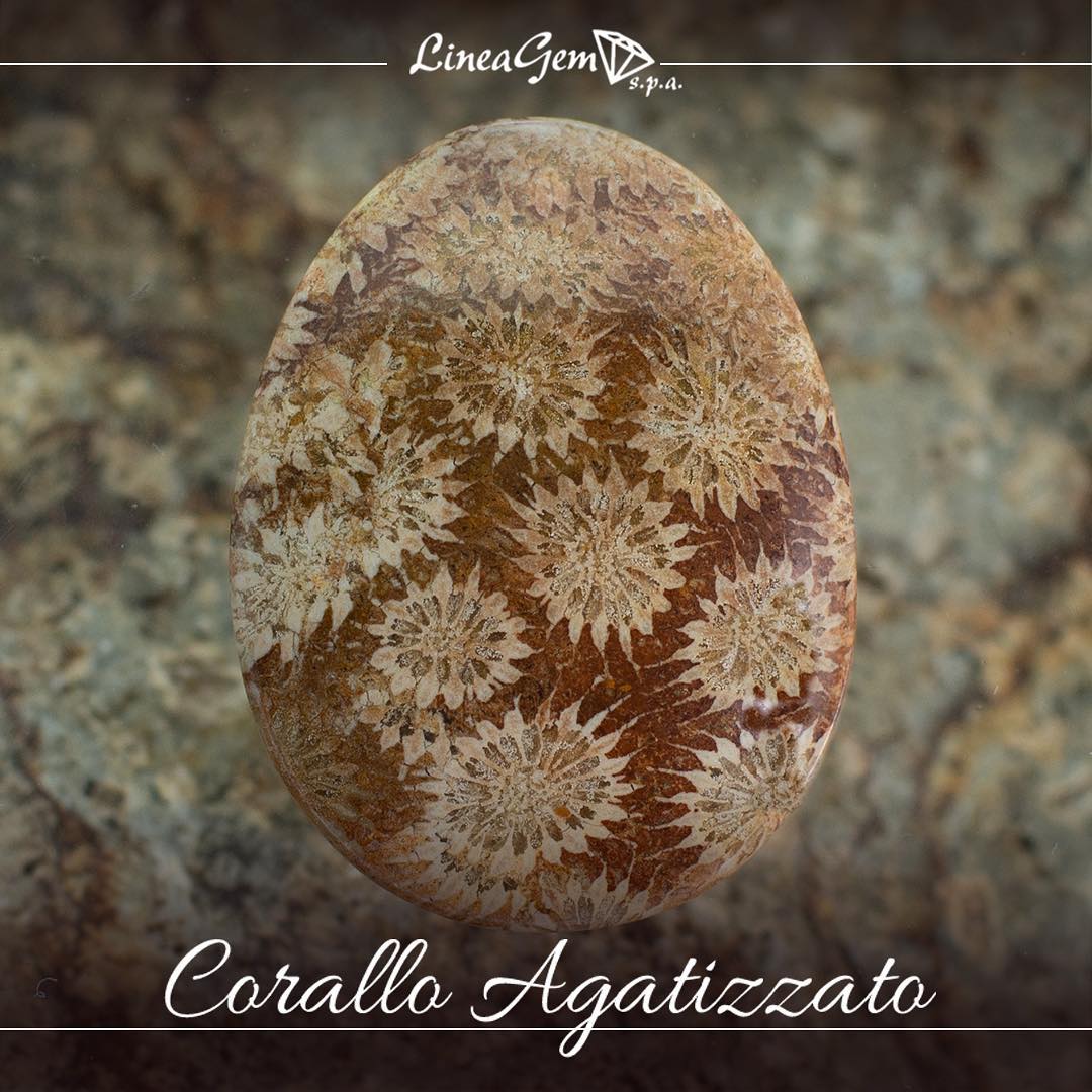 cabochon ovale di corallo agatizzato naturale lineagem